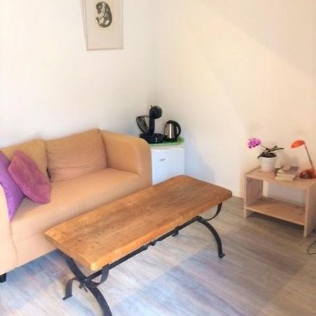 Prune D'Ente - B&B Las Coussoulesses Anthé Екстериор снимка